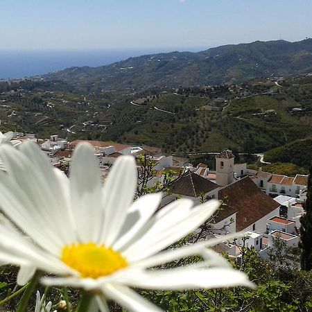 Вілла Casa Ana, Fantasticas Vistas A Frigiliana, El Mar Y La Montana Екстер'єр фото
