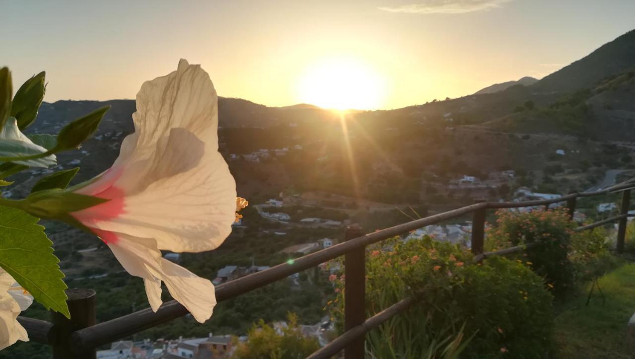 Вілла Casa Ana, Fantasticas Vistas A Frigiliana, El Mar Y La Montana Екстер'єр фото