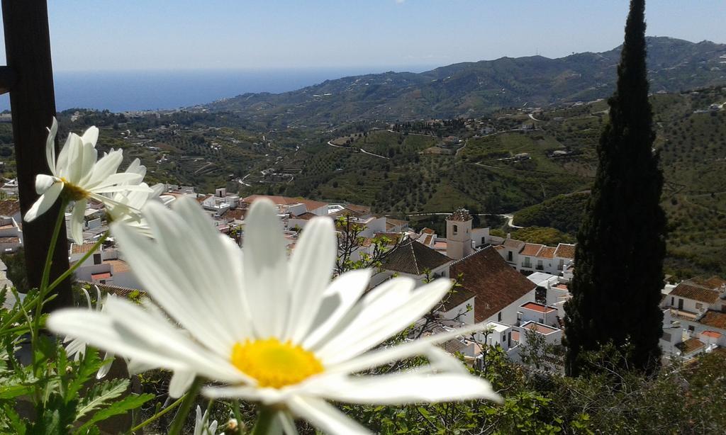 Вілла Casa Ana, Fantasticas Vistas A Frigiliana, El Mar Y La Montana Екстер'єр фото
